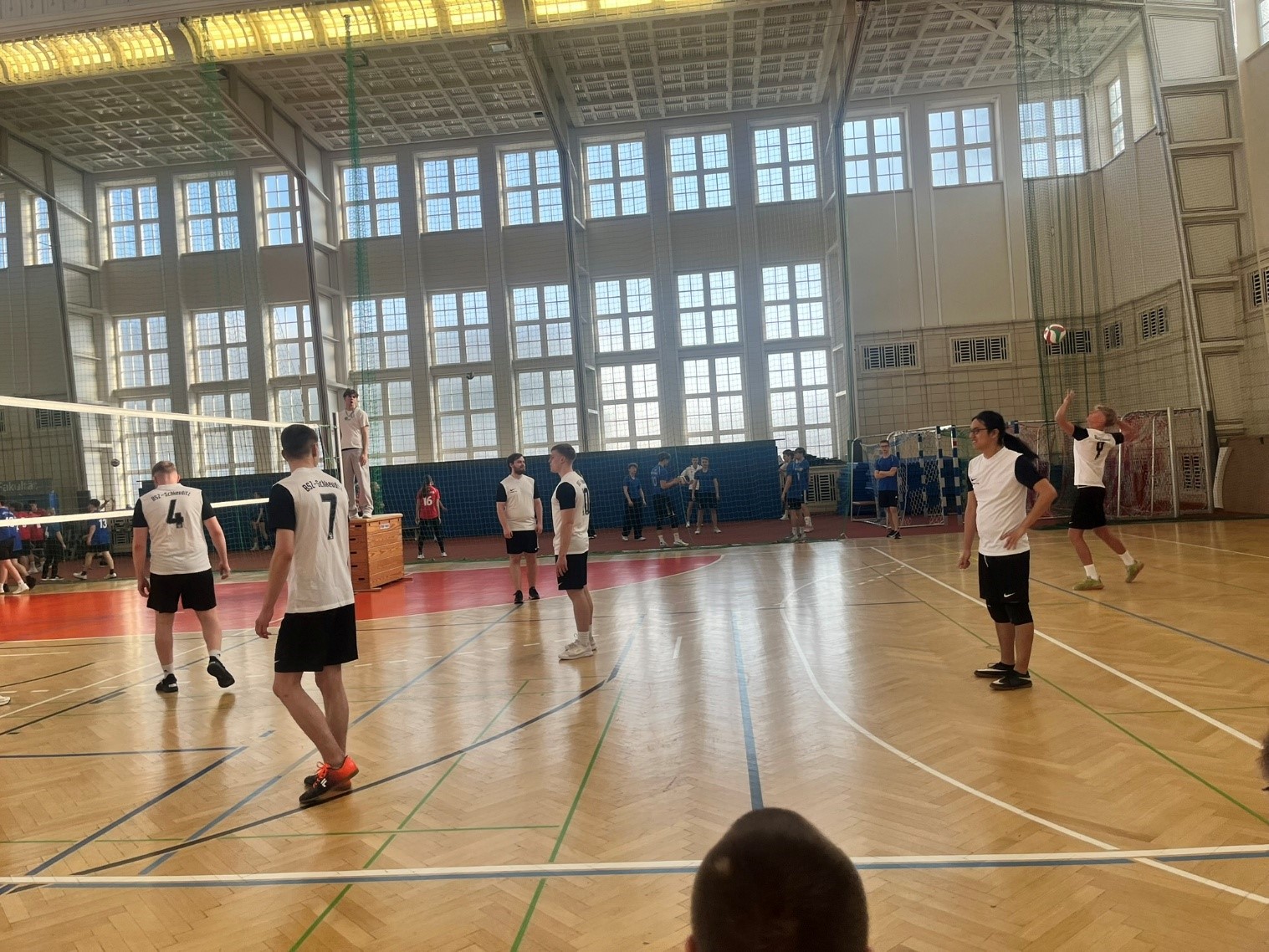 V Ball Cup2