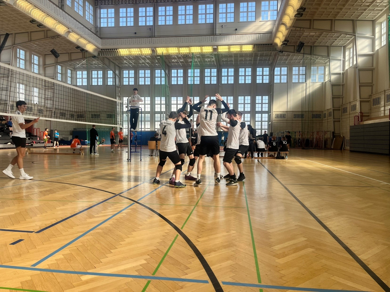 V Ball Cup3